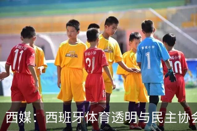 西媒：西班牙体育透明与民主协会投诉，要求彻查因凡蒂诺